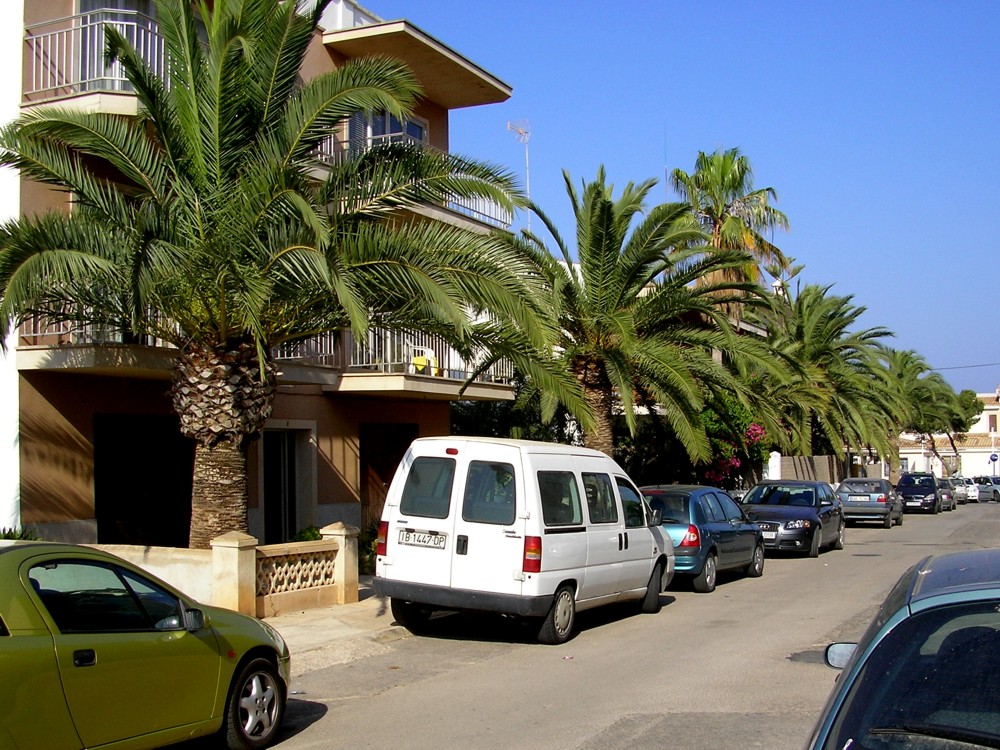 SANY0051