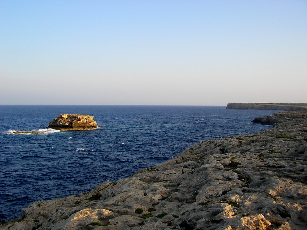 SANY0291