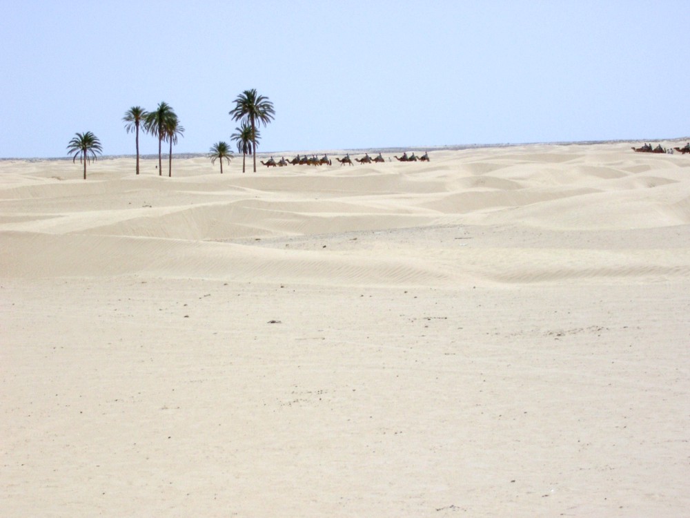 SANY0601