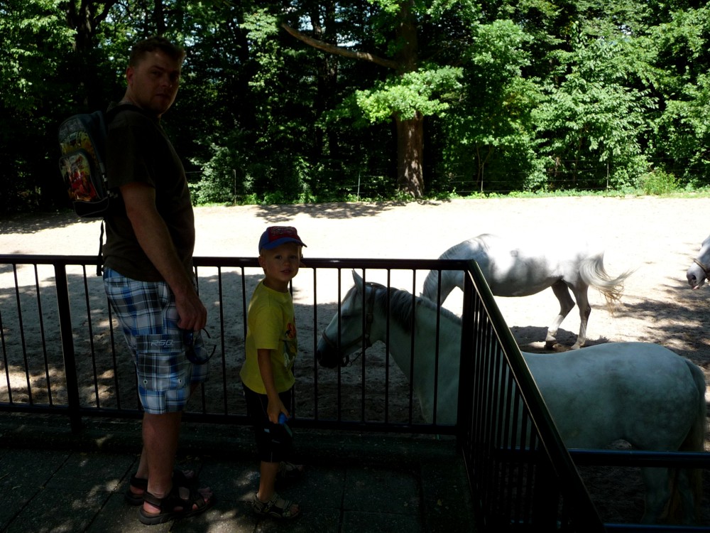 zoo Lešná