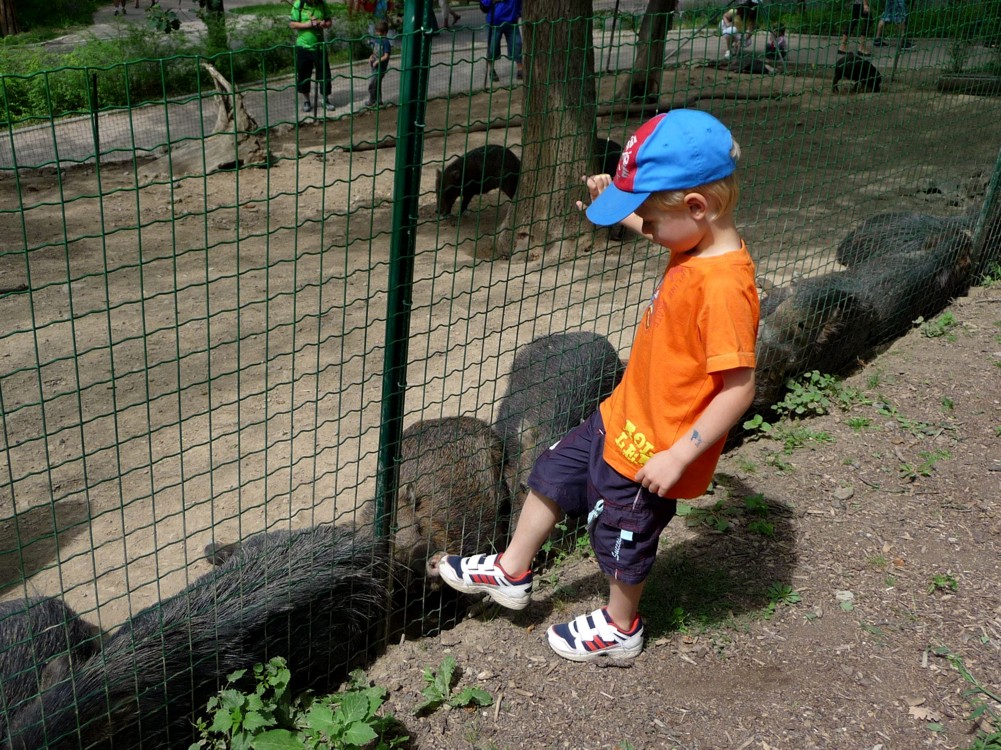 zoo Brno
