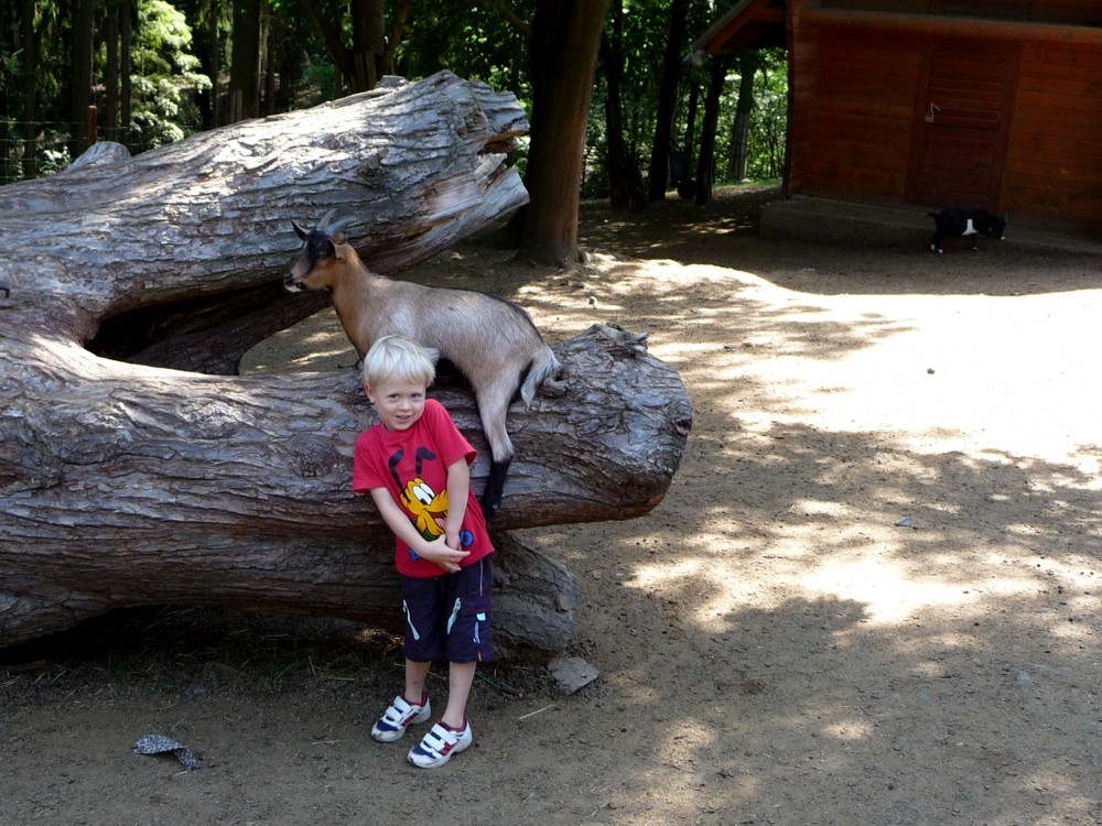 zoo Kopeček