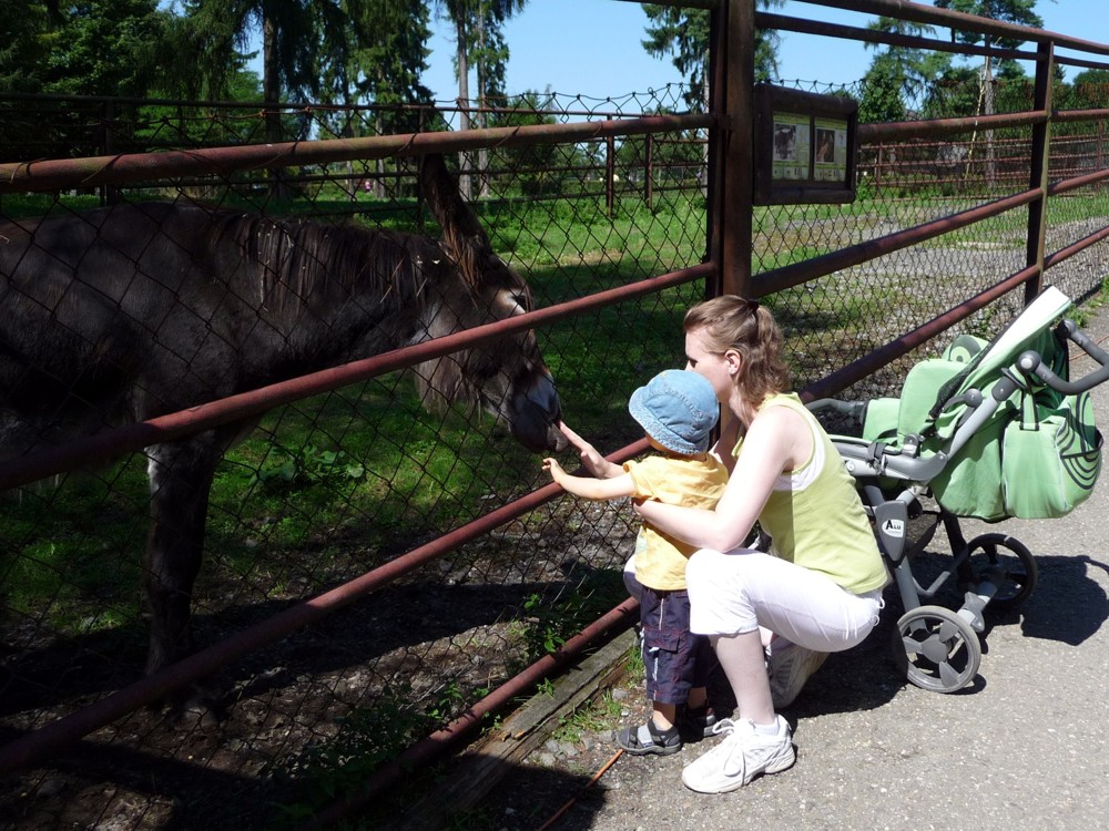 Po roce zase v zoo na Kopečku...