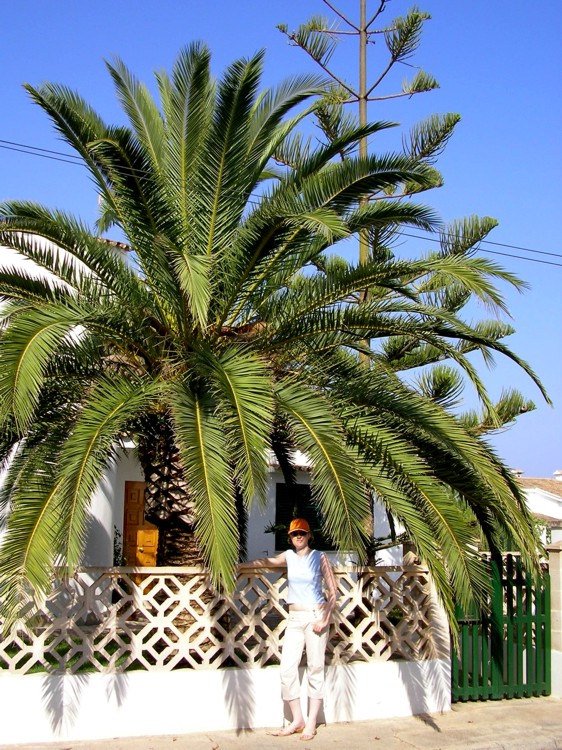 Sany0048a